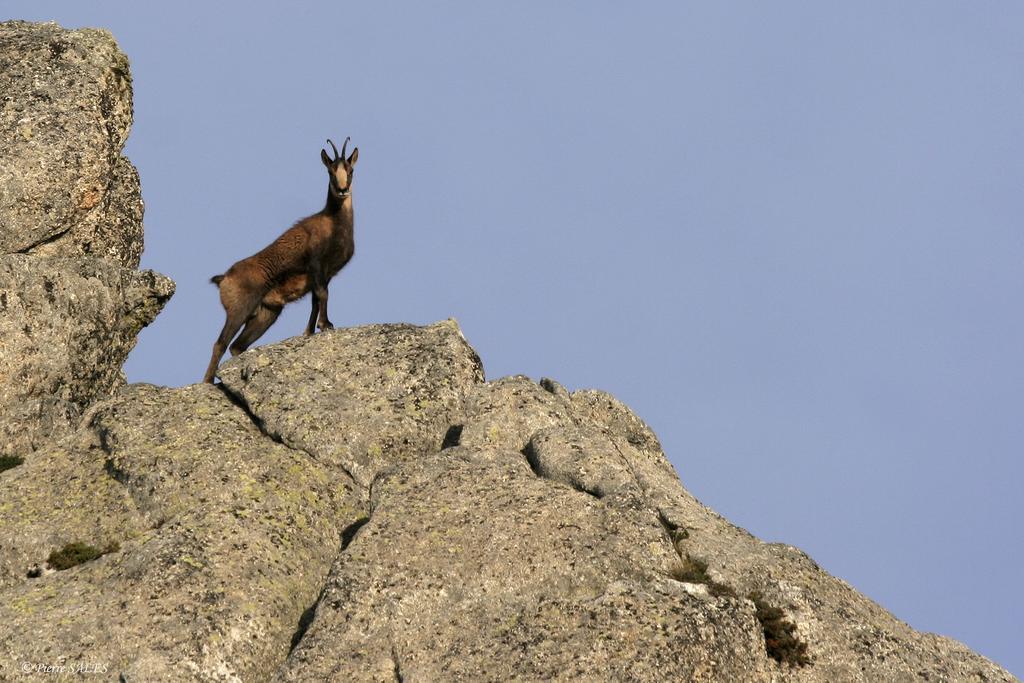 Vvf Pyrenees Canigou Prats-de-Mollo-la-Preste Exterior foto